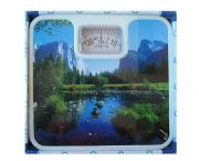 廣告風景人體秤